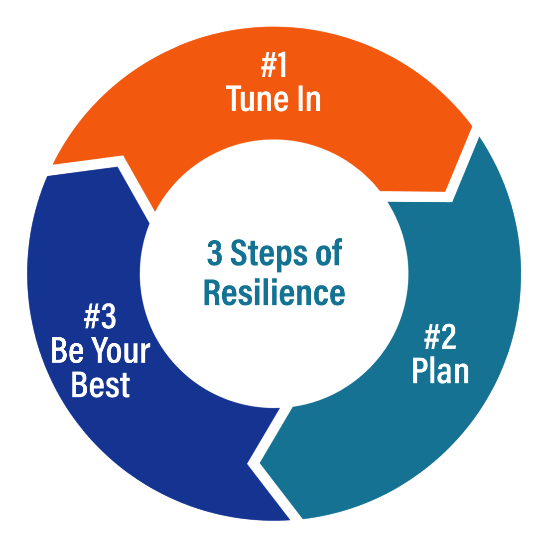 The Three Steps of Resilience by Rick Cram, PLAN TO BE YOUR BEST ...As You Navigate Pain.